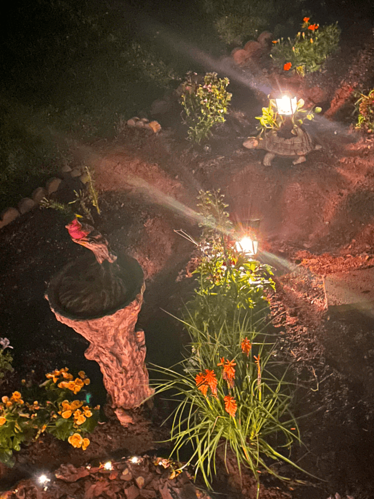 Garden at Night Overview - Grunk and War Turtle - Contego Media - contego.media