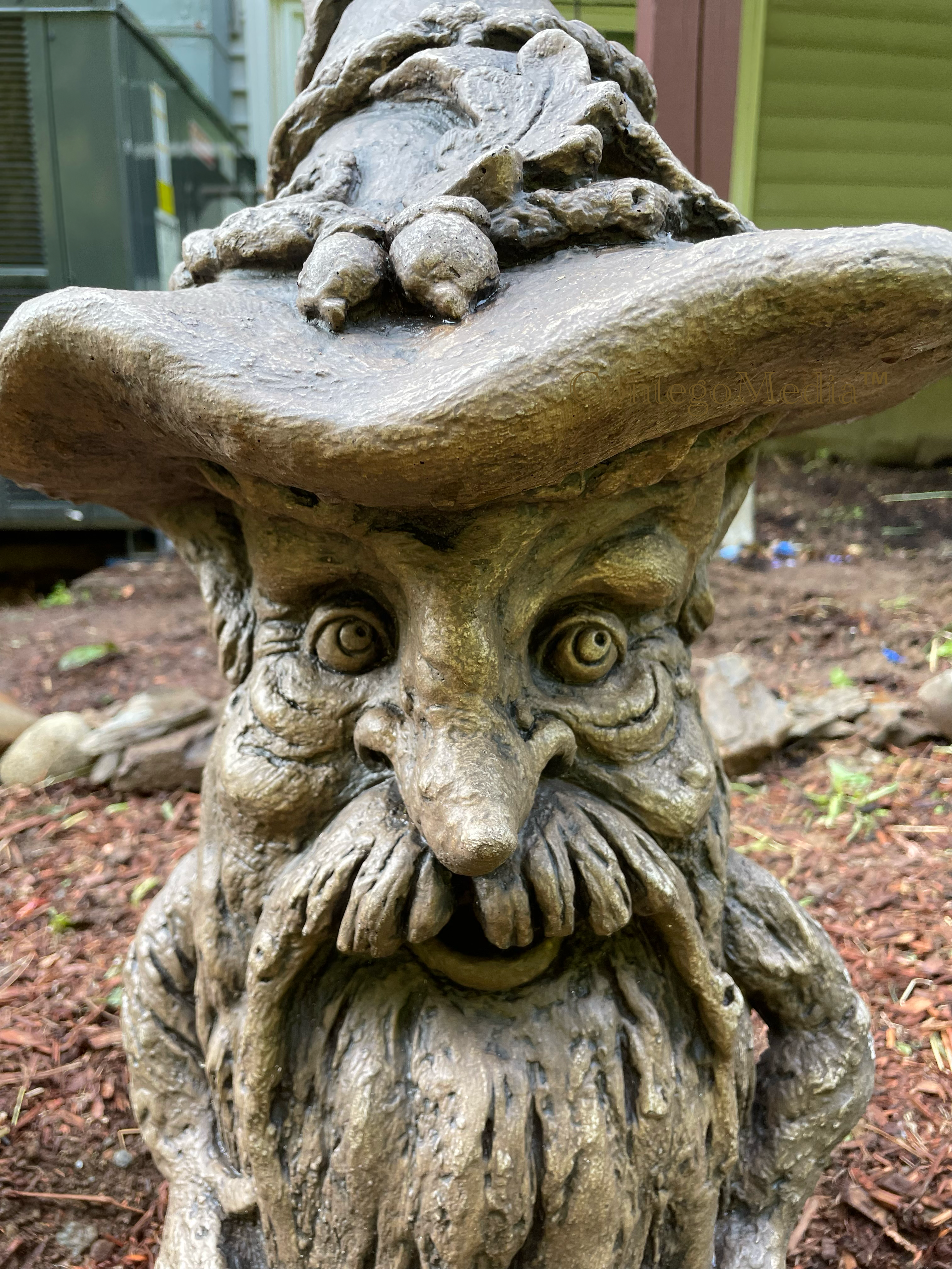 Tree Wizard - New to the Garden - Contego Media - contego.media