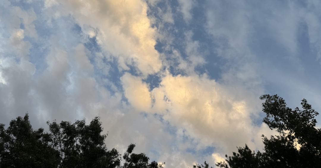 Melissa Movafaghi - Contego Media - Clouds and Trees at Sunset - Photograph Credit Melissa Movafaghi