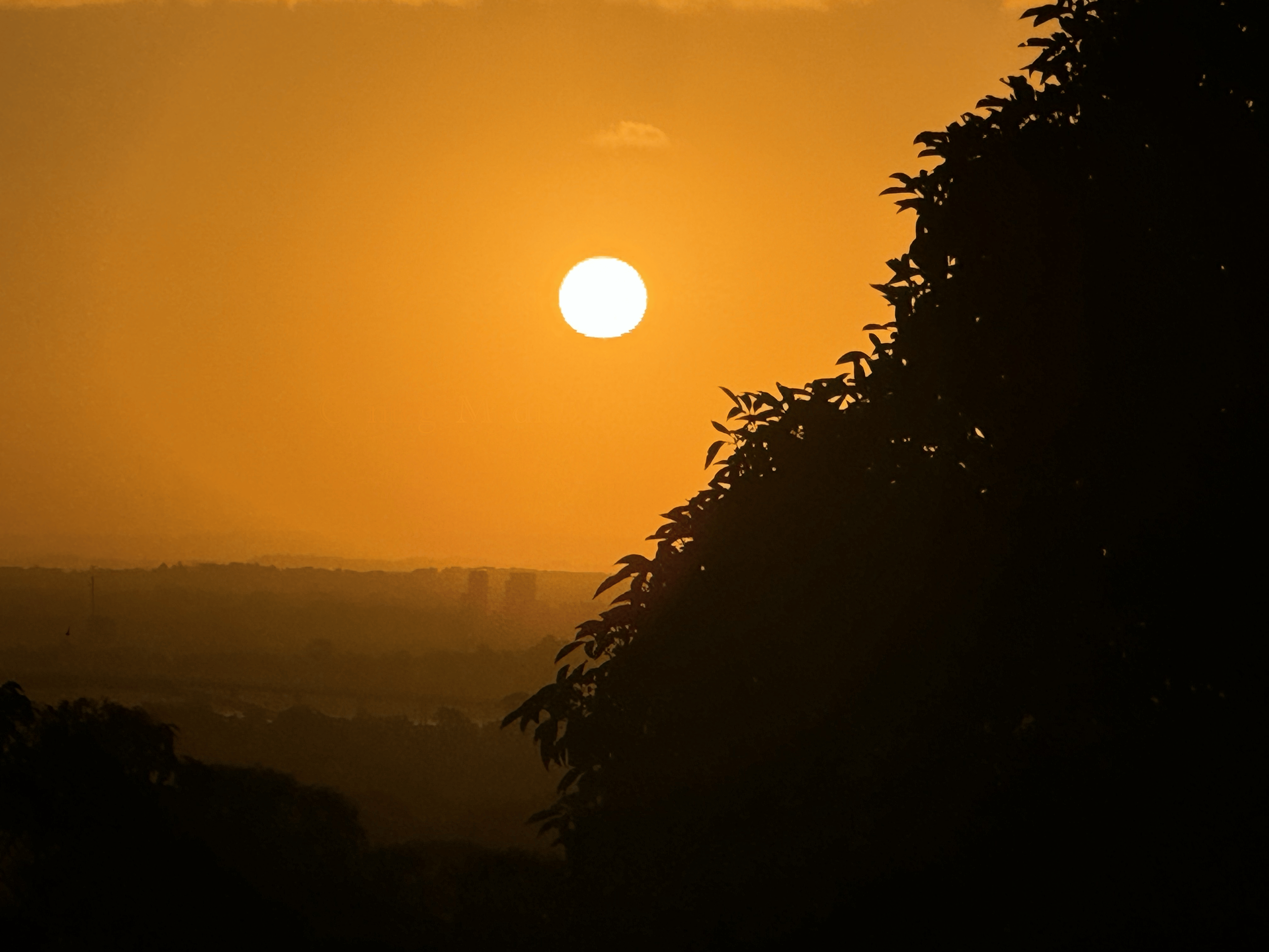 Melissa Movafaghi - Contego Media - Orange Sunset over Sydney - Photograph Credit Melissa Movafaghi