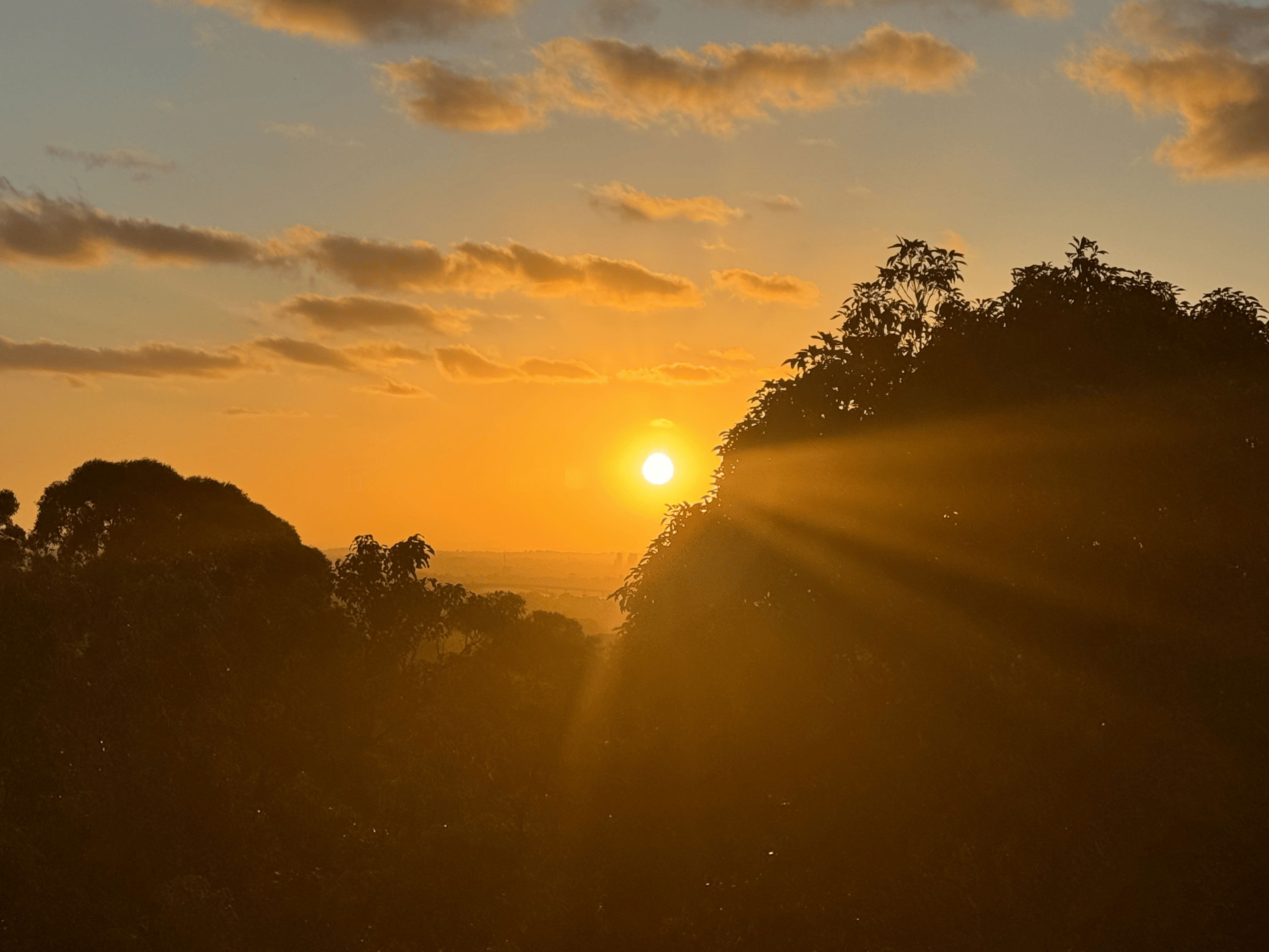 Melissa Movafaghi - Contego Media - Setting Sun Over Sydney - Photograph Credit Melissa Movafaghi