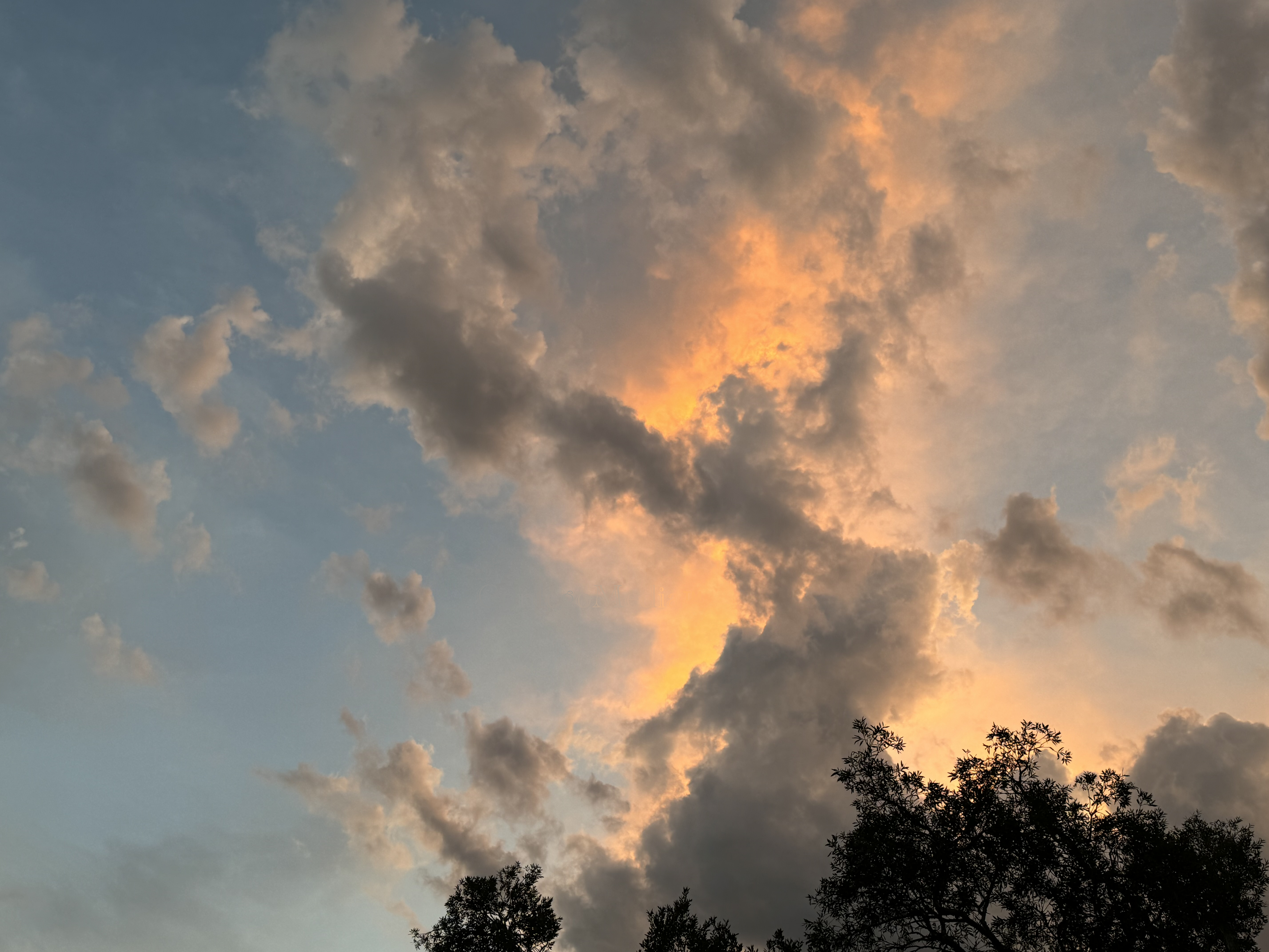 Melissa Movafaghi - Contego Media - Sun Glows on Clouds with Trees to Bottom Right - Photograph Credit Melissa Movafaghi