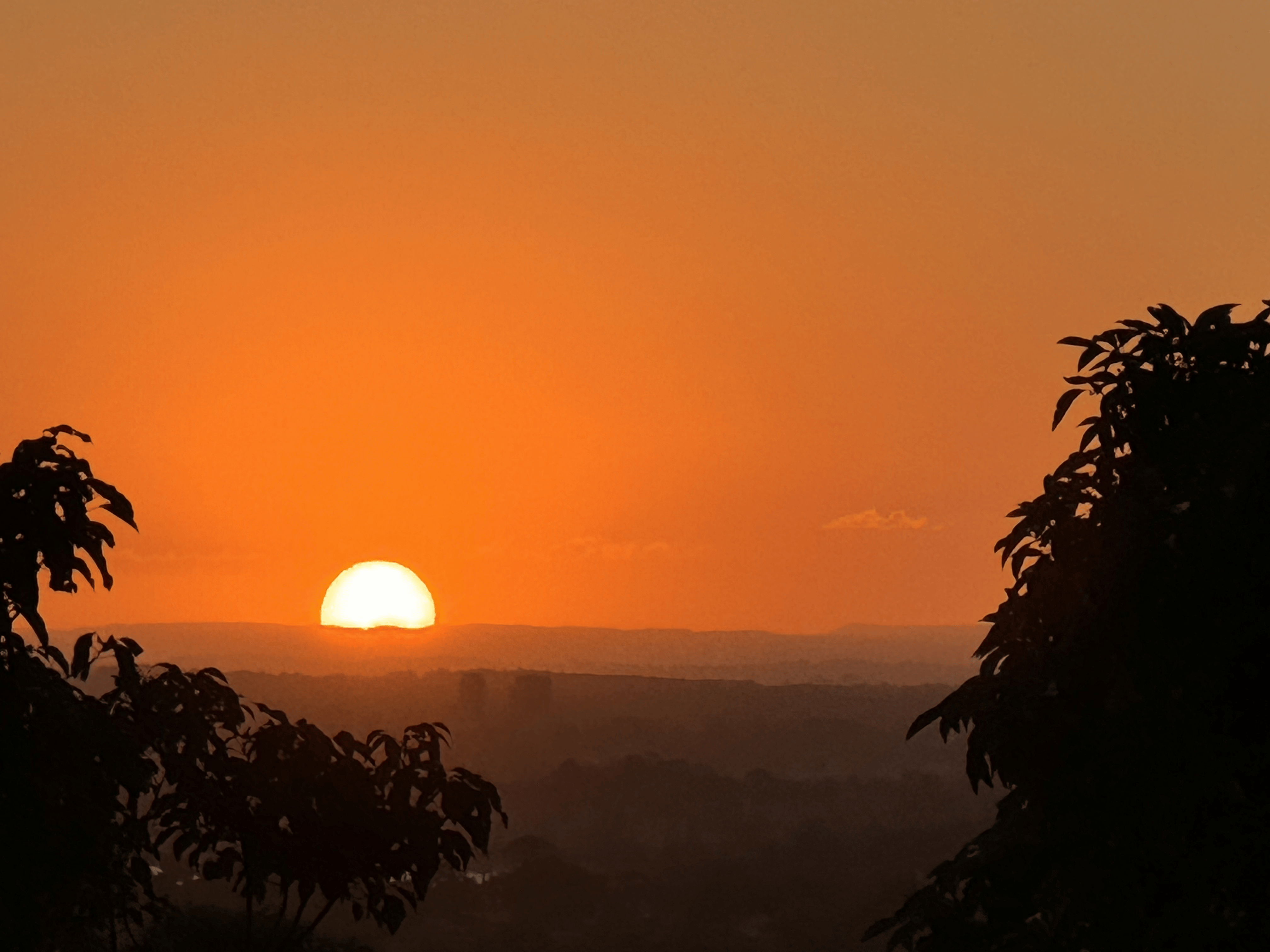 Melissa Movafaghi - Contego Media - Sun Sets Left with Trees in Foreground Over Sydney - Photograph Credit Melissa Movafaghi