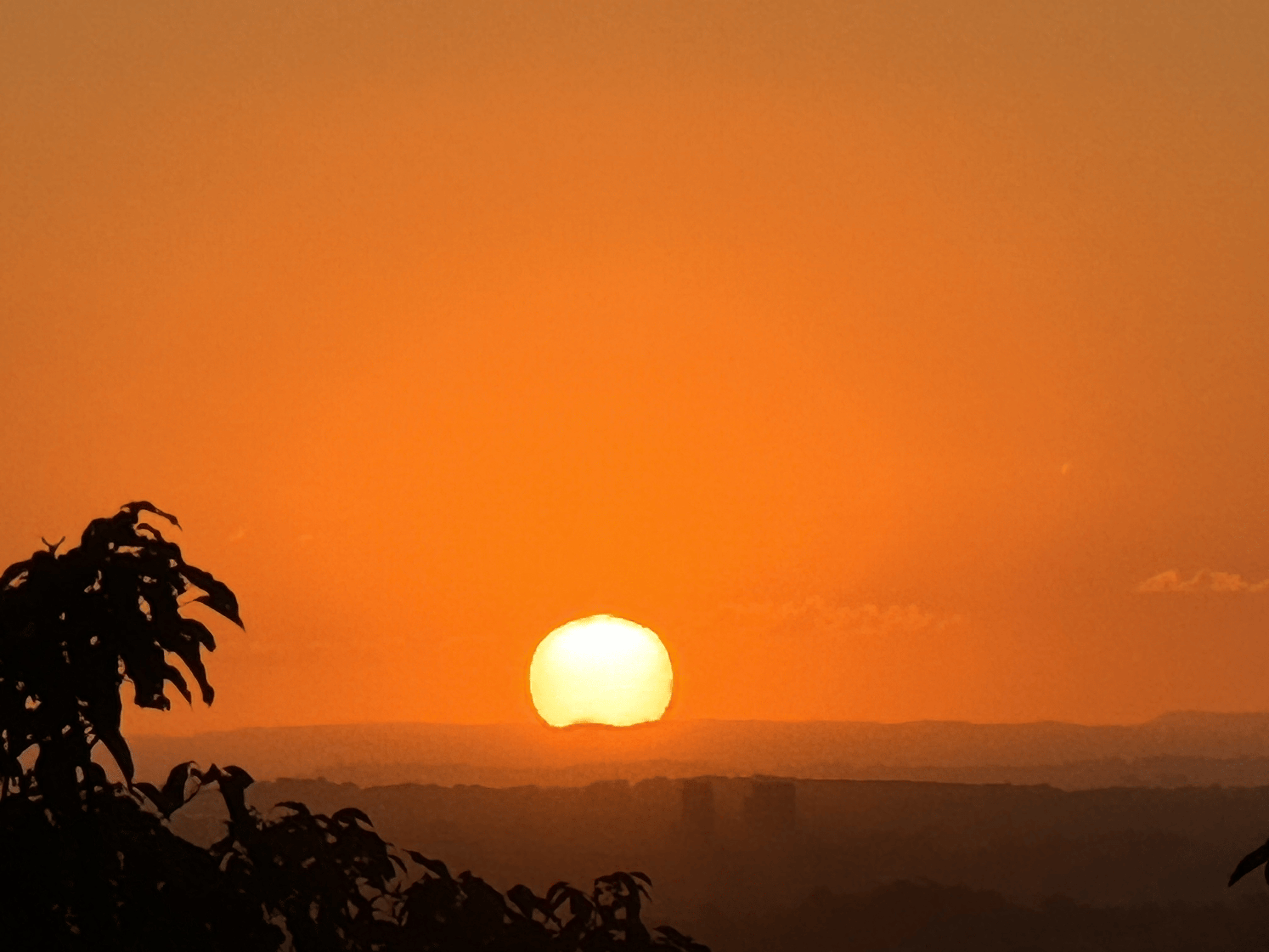 Melissa Movafaghi - Contego Media - Sunset Hits Horizon Over Sydney - Zoom In - Orange Sky - Photograph Credit Melissa Movafaghi